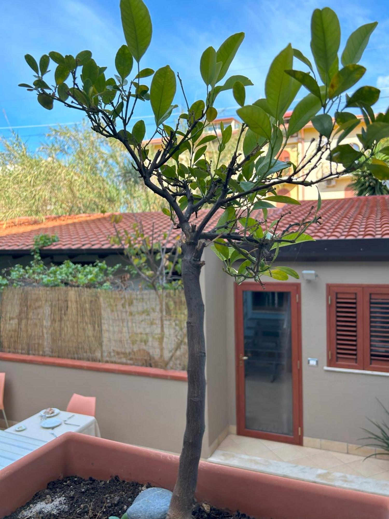 La Piazzetta Panzió Giardini-Naxos Kültér fotó